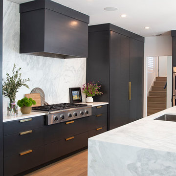 Black Kitchen Cabinets in Contemporary Home