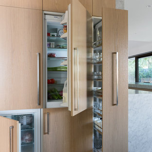Imagen de cocina minimalista con electrodomésticos con paneles