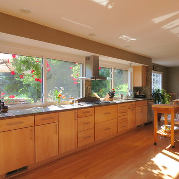 Bloomfield Hills Modern Kitchen
