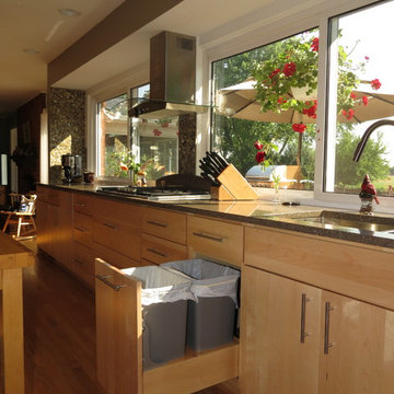 Bloomfield Hills Modern Kitchen