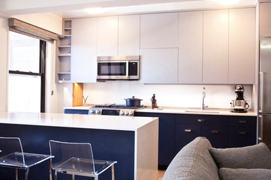Blue & White Contemporary Kitchen