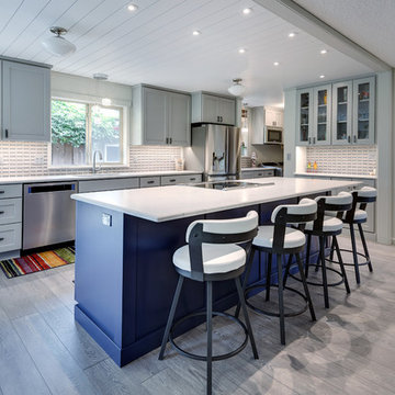 Blue and White Transitional Kitchen