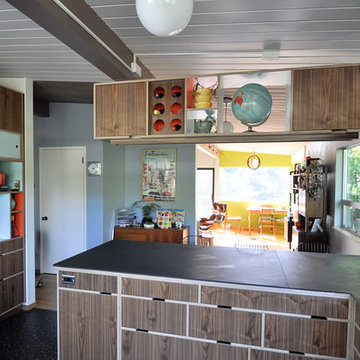 Blue Ridge Mid Century Modern Kitchen