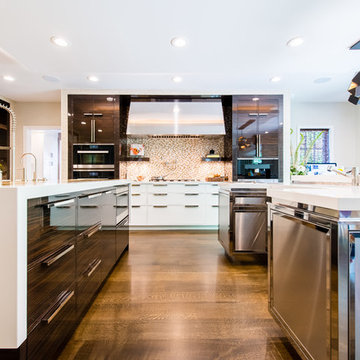 Bold & Beckoning Modern Kitchen Addition and Renovation