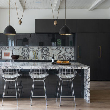 Bold and Monochromatic Kitchen in Houston