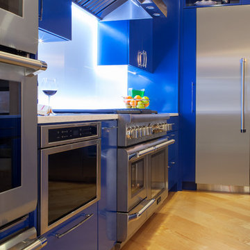 Bold Blue Contemporary Kitchen