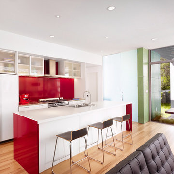 Bouldin Creek Courtyard House