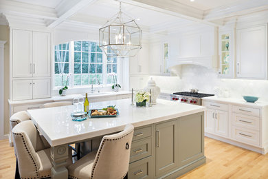 Kitchen - transitional kitchen idea in Boston