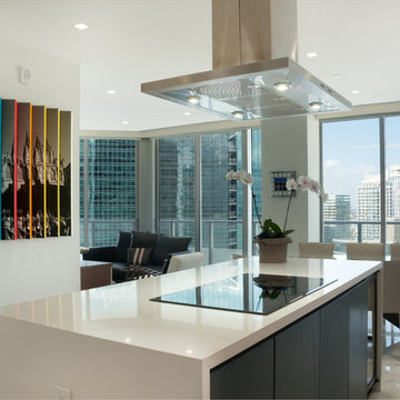 Brickell  House Modern Apartment