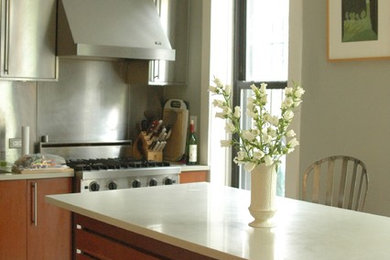 Inspiration for a modern kitchen remodel in New York
