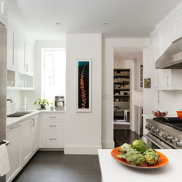 https://www.houzz.com/photos/brooklyn-heights-apartment-transitional-kitchen-new-york-phvw-vp~29251089
