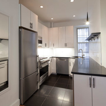 Brooklyn Heights Apartment Renovation (Kitchen & Bath)