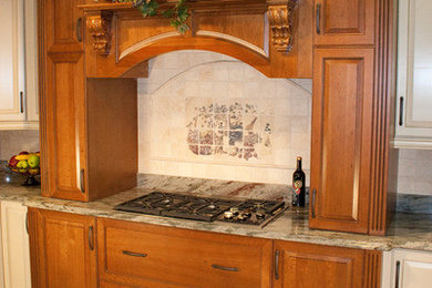 This is an example of a classic kitchen in Tampa.