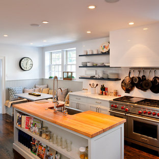 Bryn Mawr English Tudor Kitchen Remodel