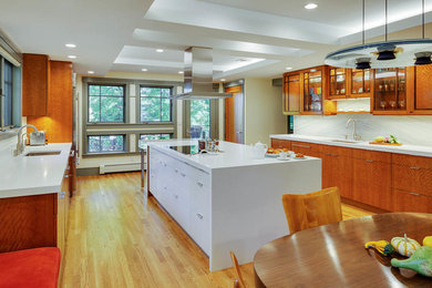 Kitchen - contemporary kitchen idea in Boston