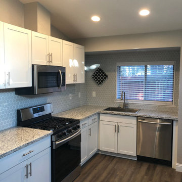 Budget Minded Single Family Kitchen Remodel