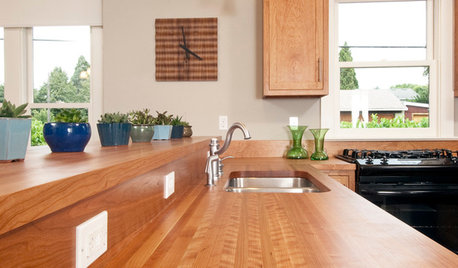 Wonderful Wood Countertops for Kitchen and Bath