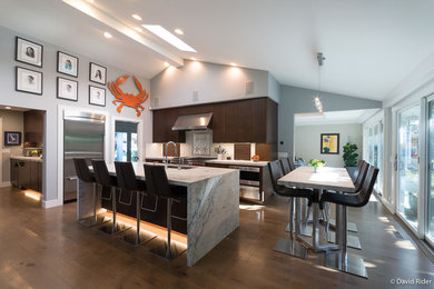 Example of a transitional medium tone wood floor kitchen design in San Francisco with an undermount sink, flat-panel cabinets, dark wood cabinets, quartzite countertops, white backsplash, glass sheet backsplash, stainless steel appliances, an island and gray countertops