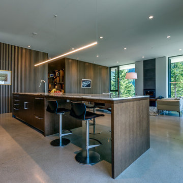 Cabin in the Woods, Squamish - West Coast Modern