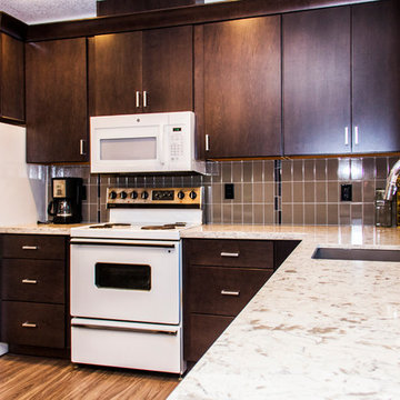Cabinets and Engineered Quartz Countertops