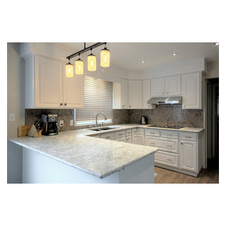 https://st.hzcdn.com/fimgs/pictures/kitchens/cambria-crowndale-%E2%84%A2-london-ontario-kitchen-progressive-countertop-systems-img~0e21de490d1f9c58_8708-1-8e6ba6e-w320-h320-b1-p10.jpg