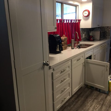 Canoga Kitchen Remodel