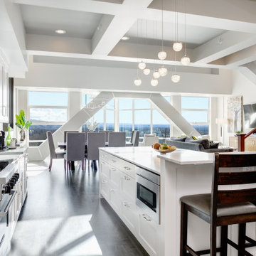 Capitol Penthouse Condo Remodel
