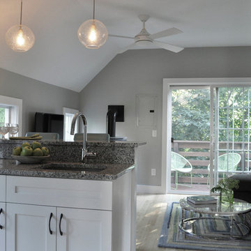 CARRIAGE HOUSE RENOVATION