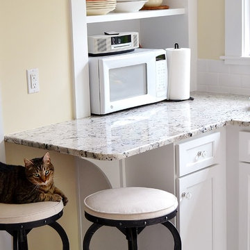 Cat-Approved White Kitchen
