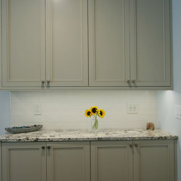 Cerused Oak & Painted Cabinets