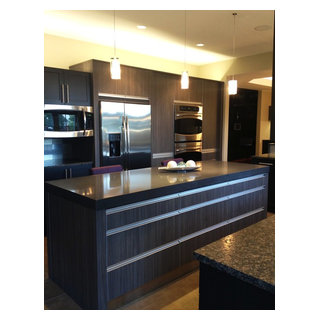Champaign Kitchen Renovation Donica Blager Img~3141b3980234dc23 0939 1 91a6b72 W320 H320 B1 P10 