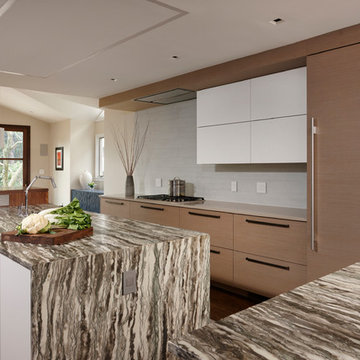 Chevy Chase-Maryland-Contemporary-Kitchen