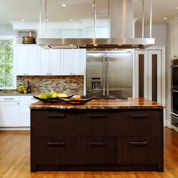 Chevy Chase, Maryland -Transitional - Bright Kitchen Design
