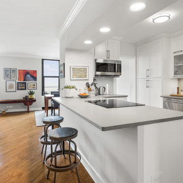 Chicago Condo Kitchen Remodeling
