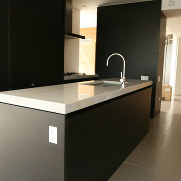 Chicago Condo