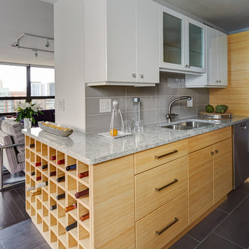 Chicago Modern Condo