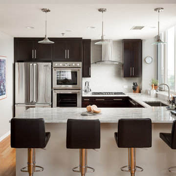 Chicago South Loop Kitchen Remodeling