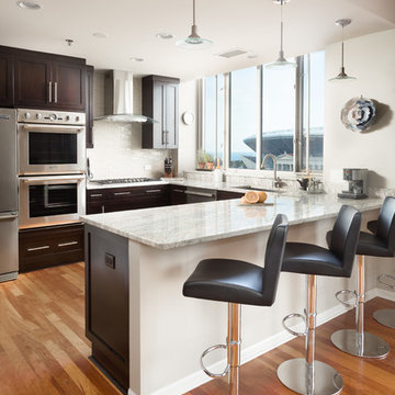 Chicago South Loop Kitchen Remodeling