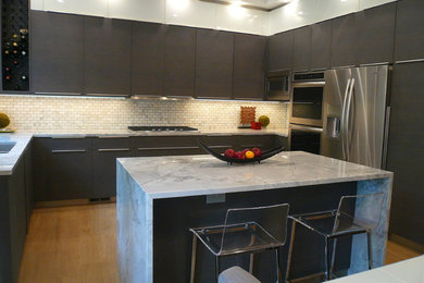 Chicago townhouse kitchen remodel