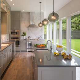 https://www.houzz.com/photos/city-house-transitional-kitchen-seattle-phvw-vp~46827174