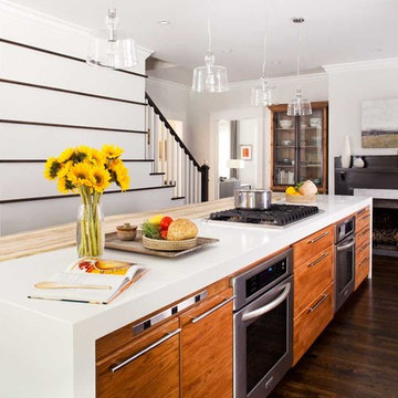 Clairemont Whole House Renovation