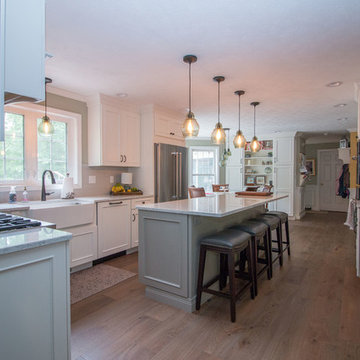 Classic, Traditional & Transitional White Icing kitchen remodel