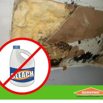 Cleaning Mold with Bleach is Hazardous, Don't use bleach, Mold,