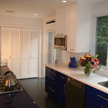 Cobalt, Gloss White and Stainless in Newton