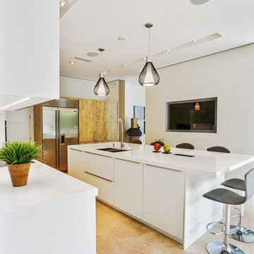 Coconut Grove Kitchen in Engineered Wood and Matte Lacquer