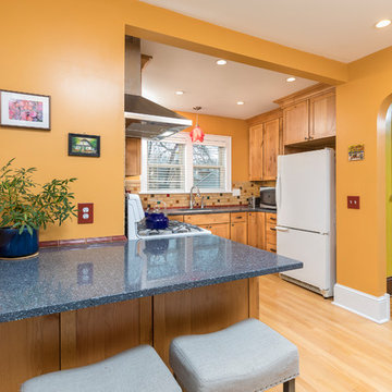 Colorful Mac-Groveland Kitchen
