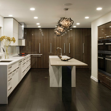 Columbia, Maryland - Contemporary - Kitchen Design