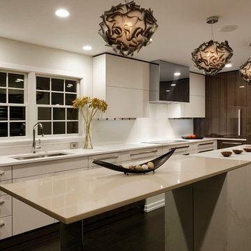 Columbia, Maryland - Contemporary - Kitchen Design