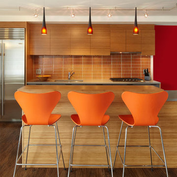 Combined Westside Apartment