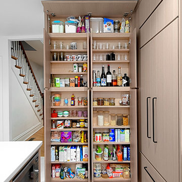 Compact Kitchen Pantry